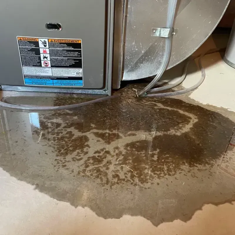 Appliance Leak Cleanup in Casa Grande, AZ